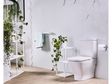 Roca’s Gap Rimless range of toilets makes the most of small spaces.