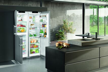 Side-by-side fridge-freezer – BluPerformance SBSes 8474