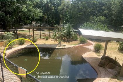 Landmark installs King Shelters at Queensland zoo