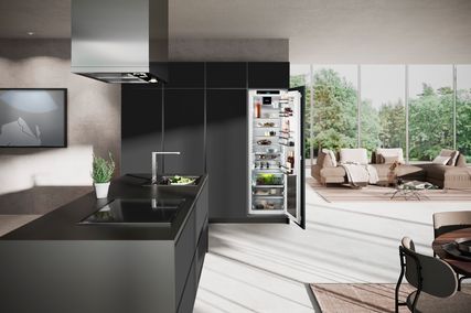 Integrated fridge-freezer – IRBh 5170 with BioFresh drawers